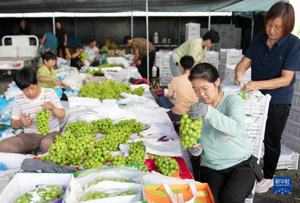 捕鱼大作战官网下载